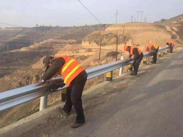 乡村（农村）道路应不应该安装波形丝瓜官网入口污.jpg
