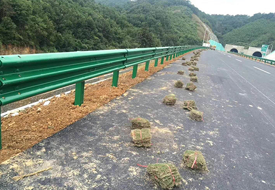 桥梁波形丝瓜官网入口污